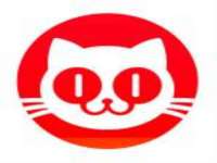 石家庄立策信息科技有限公司