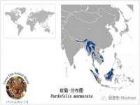 石家庄立策信息科技有限公司