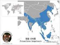 石家庄立策信息科技有限公司