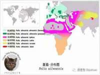 石家庄立策信息科技有限公司