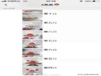 石家庄立策信息科技有限公司