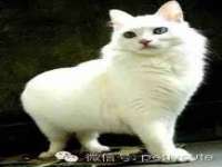 石家庄立策信息科技有限公司