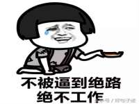 石家庄立策信息科技有限公司