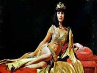 石家庄立策信息科技有限公司
