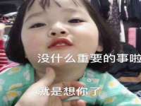 石家庄立策信息科技有限公司