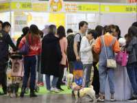 石家庄立策信息科技有限公司