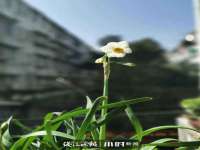 石家庄立策信息科技有限公司