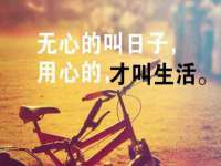 石家庄立策信息科技有限公司