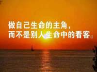 石家庄立策信息科技有限公司