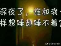 石家庄立策信息科技有限公司