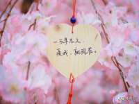 石家庄立策信息科技有限公司