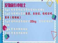 石家庄立策信息科技有限公司