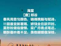 石家庄立策信息科技有限公司