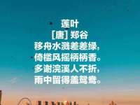 石家庄立策信息科技有限公司