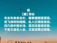 石家庄立策信息科技有限公司