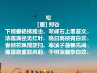 石家庄立策信息科技有限公司
