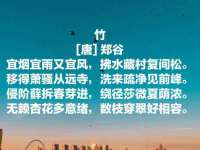 石家庄立策信息科技有限公司