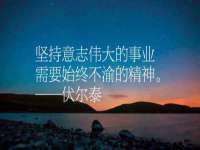 石家庄立策信息科技有限公司