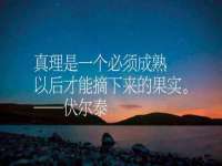 石家庄立策信息科技有限公司