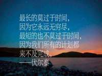 石家庄立策信息科技有限公司