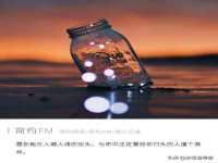 石家庄立策信息科技有限公司