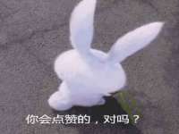 石家庄立策信息科技有限公司