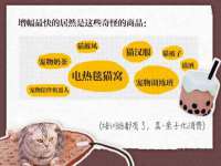 石家庄立策信息科技有限公司
