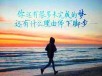 石家庄立策信息科技有限公司