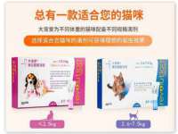 石家庄立策信息科技有限公司