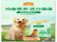 石家庄立策信息科技有限公司