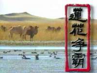 石家庄立策信息科技有限公司