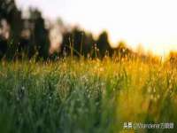 石家庄立策信息科技有限公司