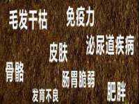 石家庄立策信息科技有限公司