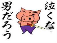 石家庄立策信息科技有限公司
