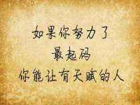 石家庄立策信息科技有限公司