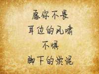 石家庄立策信息科技有限公司