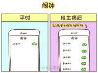 石家庄立策信息科技有限公司