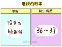 石家庄立策信息科技有限公司