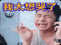 石家庄立策信息科技有限公司