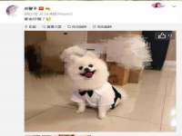 石家庄立策信息科技有限公司