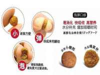 石家庄立策信息科技有限公司