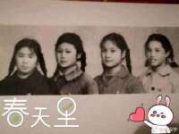 石家庄立策信息科技有限公司