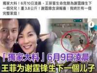 石家庄立策信息科技有限公司