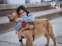 石家庄立策信息科技有限公司
