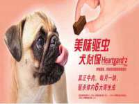 石家庄立策信息科技有限公司
