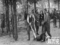 石家庄立策信息科技有限公司