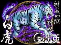 石家庄立策信息科技有限公司