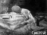 石家庄立策信息科技有限公司