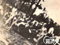 石家庄立策信息科技有限公司