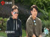 石家庄立策信息科技有限公司
